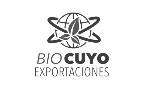 imgi_1071_15-500x310